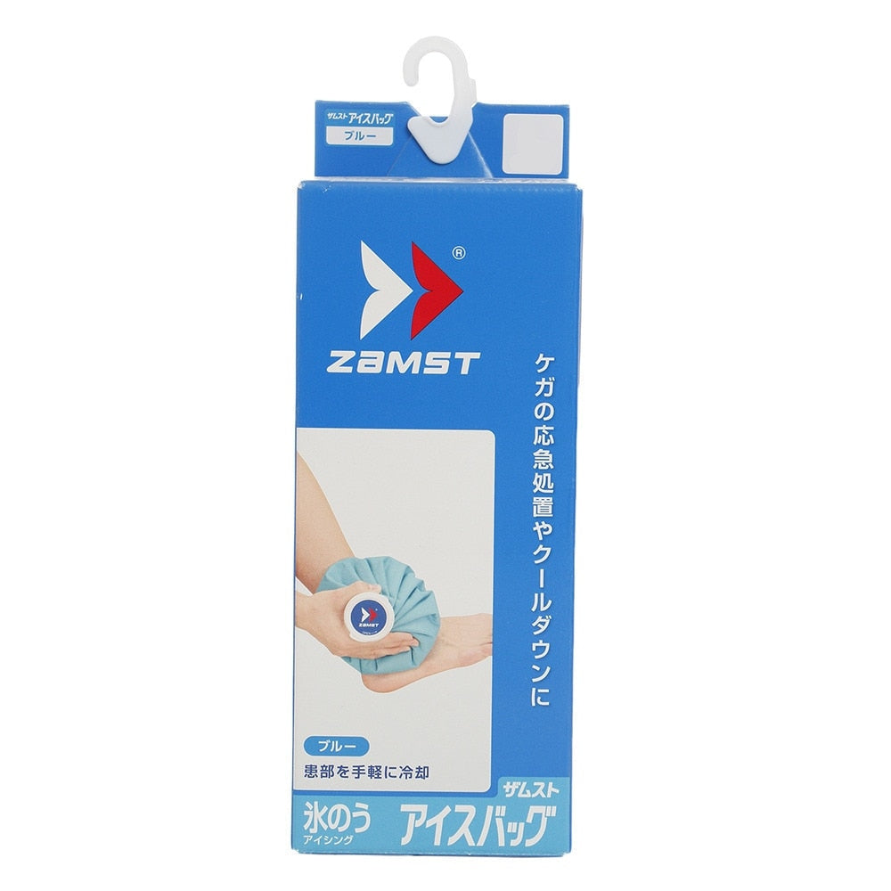 氷嚢 氷のう アイスバック Z0403L
