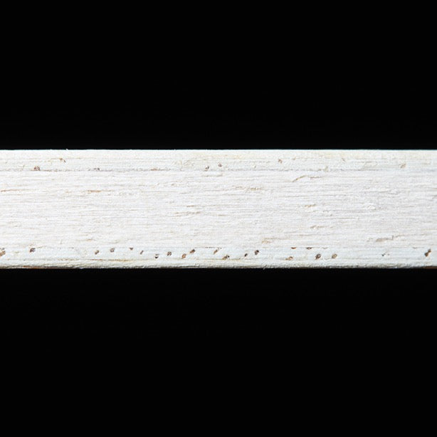 TP リグナ ALL 10211901 初心者〜中級者 【Andro アンドロ-卓球ラケット】