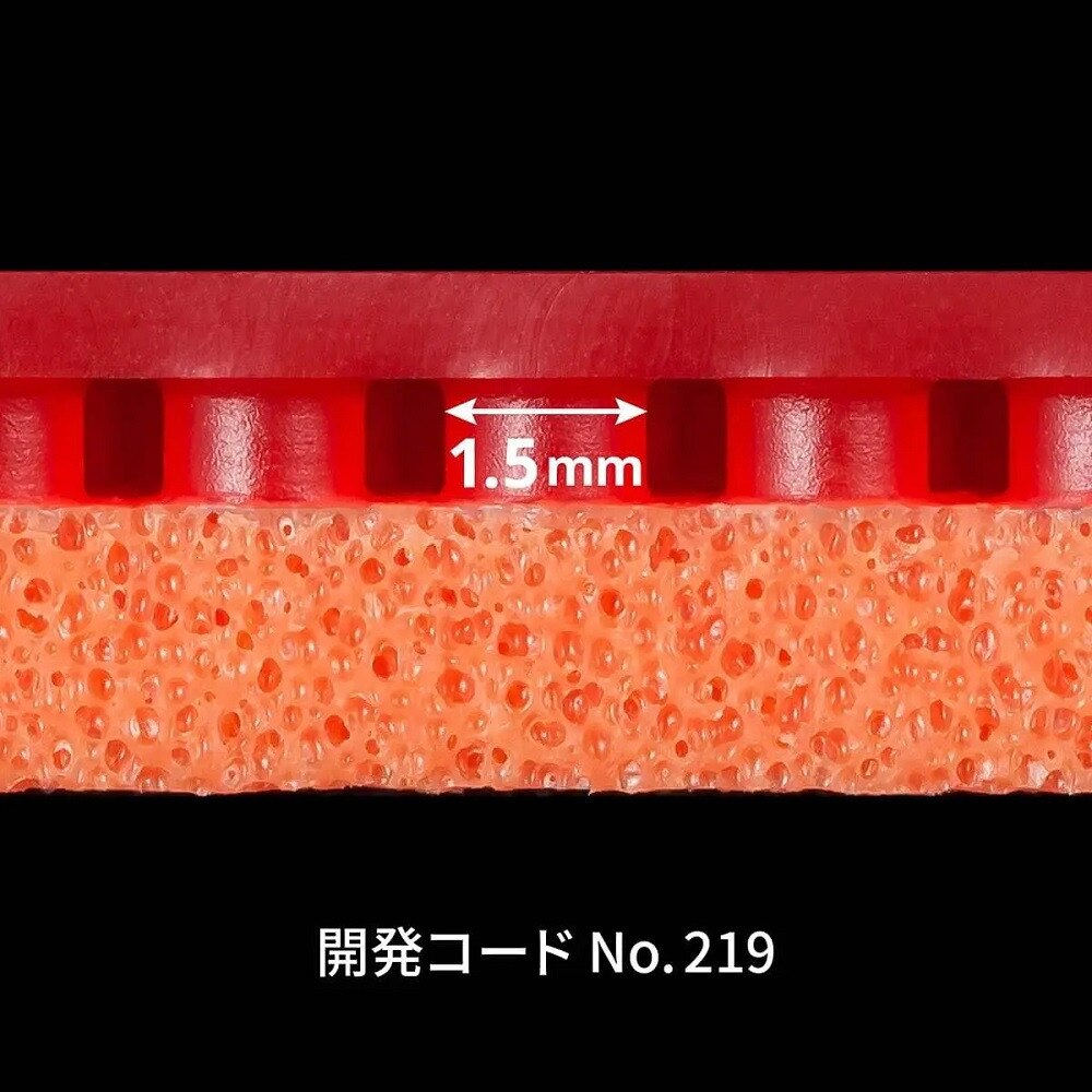 テナジー19 TENERGY 19【バタフライ butterfly -卓球ラバー】