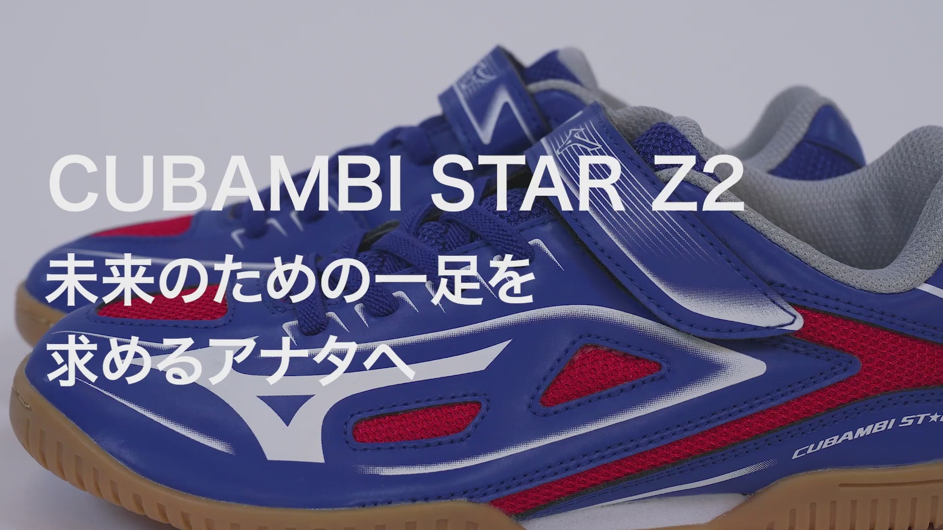 MATSUI カジノシューター MATSUI カジノシューター ACCESSORIES - 株式会社マツイ・ゲーミング