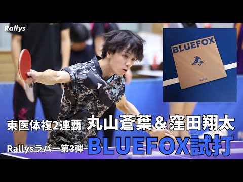 ✨75cmブルーフォックス✨サガフォックスSaga FoxBlue Fox ✨75cmブルーフォックス✨サガフォックスSaga FoxBlue Fox ✨75cm